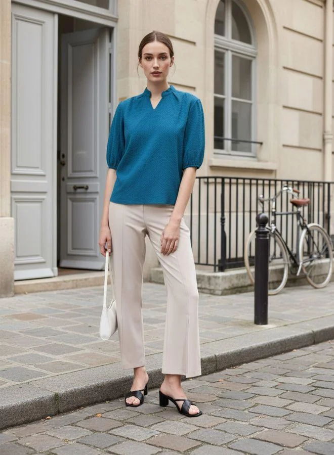 Women Regular Fit Textured V neck Half Sleeves Regular Top